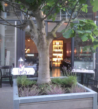 flockrestaurant
